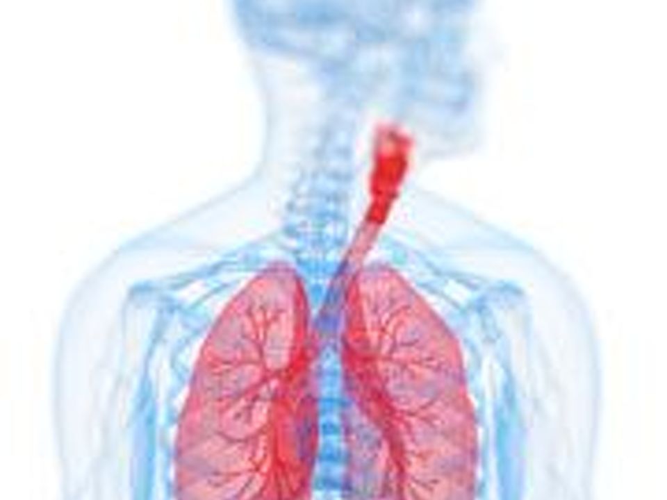 Chronic Obstructive Respiratory Disease